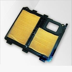 Filtras oro Honda GX610/620