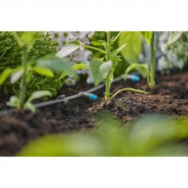 Gardena lašinimo galvutė eilių želdiniams laistyti