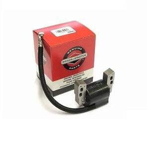 Ritė degimo Briggs&Stratton 5.0-6.0Hp New 15-