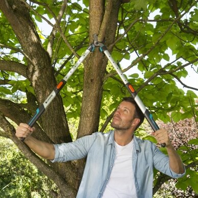 Galingas pjovimas su Gardena žirklėmis šakoms